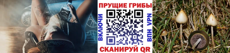 Галлюциногенные грибы мухоморы  shop Telegram  Россошь 